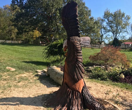 Stump Carving - Chainsaw Stump Carving