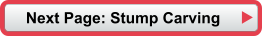 Next Page: Stump Carving