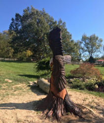 Carving Tree Stumps - Chainsaw Tree Stump Carving